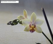 DSCN8386.JPG