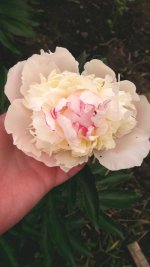 20170625_132109.jpg