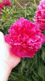 20170625_132036.jpg