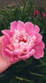 20170625_132308.jpg