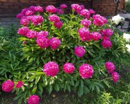 20180627_161420.jpg