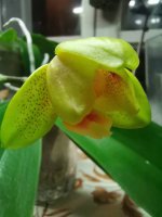 IMG_20220127_192949.jpg