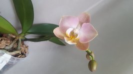 20220129_114815.jpg