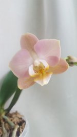 20220129_114853.jpg