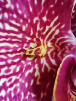 IMG_20220129_102732.jpg
