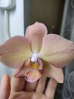 IMG_20220116_230259.jpg