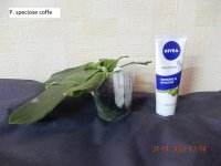 DSCN8390.JPG