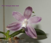 DSCN8230.JPG