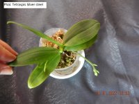 DSCN8388.JPG