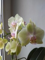 IMG_20220203_153508.jpg