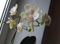 IMG_20220203_153551.jpg