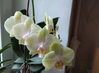 IMG_20220203_153626.jpg