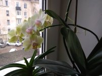 IMG_20220203_153704.jpg