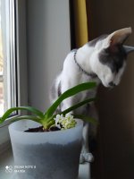 IMG_20220205_095403.jpg