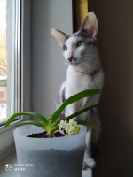 IMG_20220205_095412.jpg