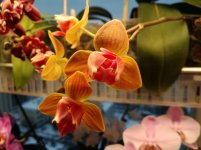 IMG_20220103_150245.jpg