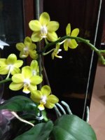 IMG_20220208_105640.jpg