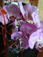 IMG_20220207_132839.jpg