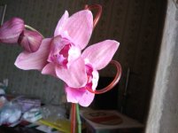 IMG_20220207_132133.jpg