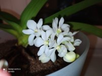 IMG_20220209_230712.jpg