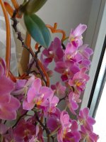 IMG_20220207_132404.jpg