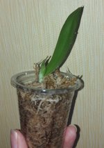 20220213_093057.jpg