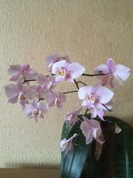 4D66320D-0CBD-4CF8-9E63-50DE46FA4835.jpeg