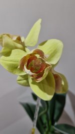 20220129_185027.jpg