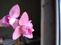 IMG_20220222_122923.jpg