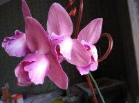 IMG_20220222_122954.jpg