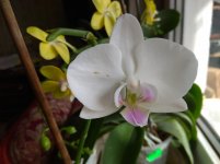 IMG_20220222_122813.jpg