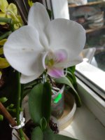 IMG_20220222_122842.jpg