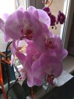 IMG_20220222_122542.jpg