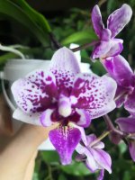 IMG_20220219_084617.jpg