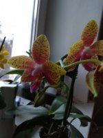 IMG_20220223_083023.jpg