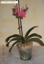 DSCN8420.JPG