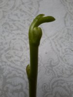 20220224_102408.jpg