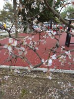 IMG_20220224_150556.jpg