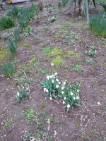 IMG_20220224_155336.jpg