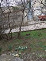 IMG_20220224_155357.jpg