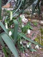 IMG_20220224_155548.jpg