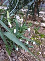 IMG_20220224_155558.jpg
