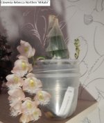 DSCN8425.JPG