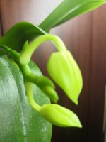 IMG_20220314_212627.jpg