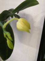 IMG_20220320_085000.jpg