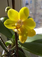 IMG_20220323_093449.jpg