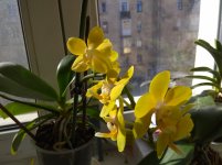 IMG_20220323_093859.jpg