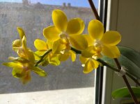 IMG_20220323_094139.jpg