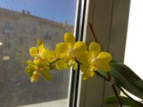 IMG_20220323_093423.jpg