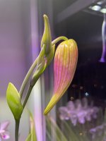 63067E3D-B9F6-439E-B74E-9EEB1C78B627.jpeg